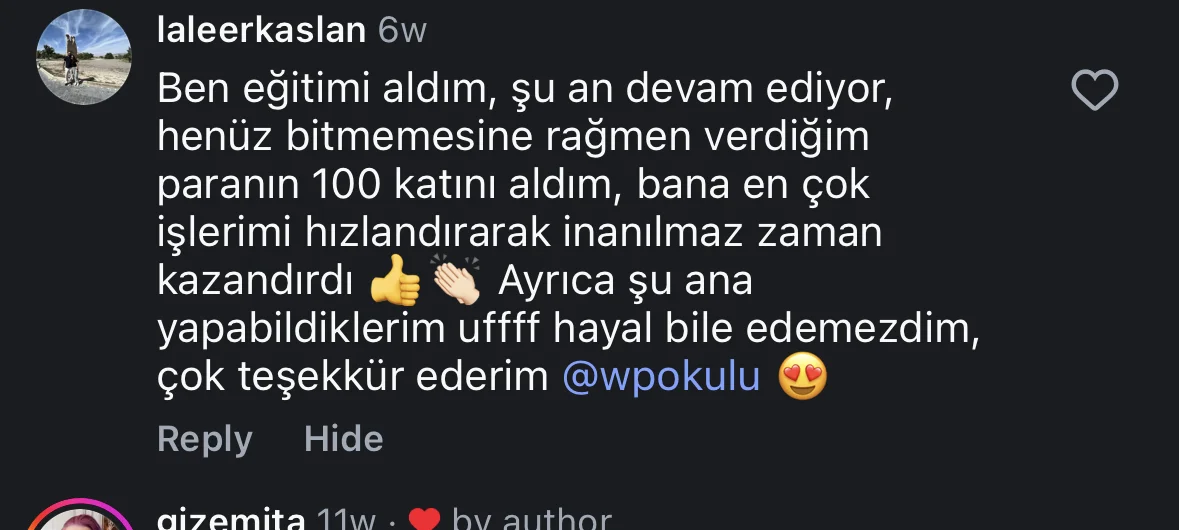 @laleerkaslan Instagram yorumu