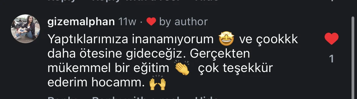 @gizemalphan Instagram yorumu